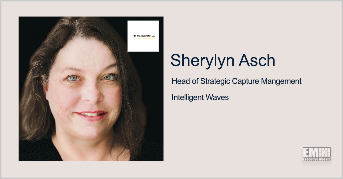 Sherylyn Asch to Head Strategic Capture Management at Intelligent Waves - top government contractors - best government contracting event